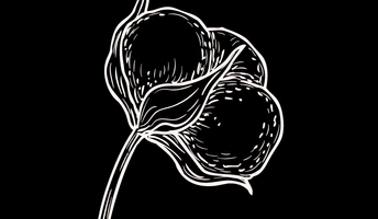 Untitled design (7).png